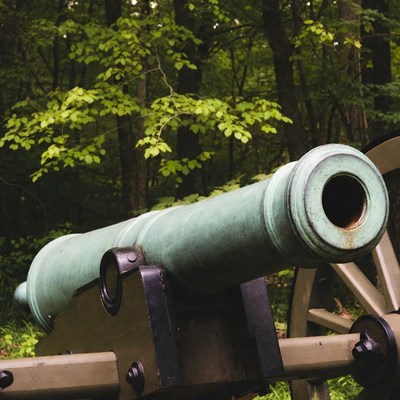 Civil War Cannon in Forest