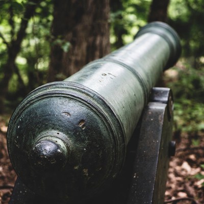 Cannon in Forest
