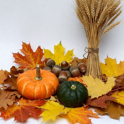 Autumn Pumpkins Acorns Wheat Leaves