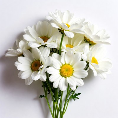 White Daisy Flowers Bouquet