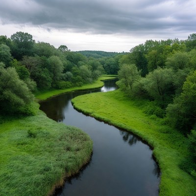 Winding River Through Green Forest