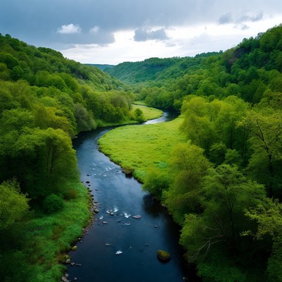 Aerial View of Winding River in Green Valley