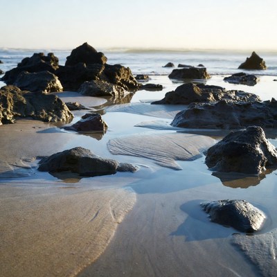 Rocks on beach at sunset