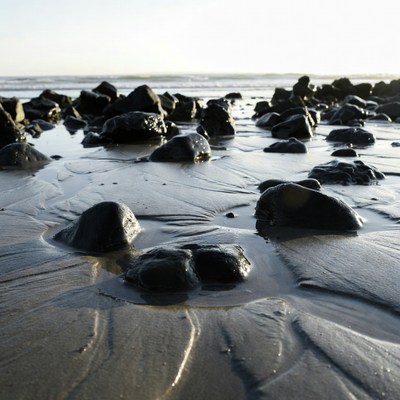 Wet black rocks on beach