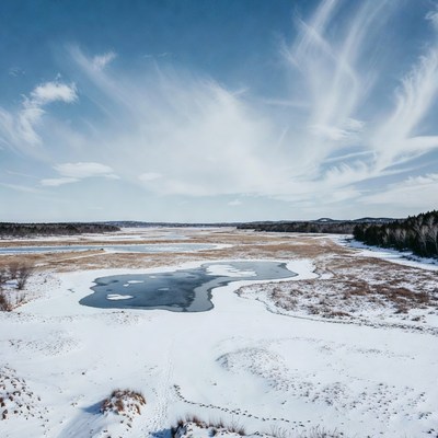 Winter Marsh with Frozen Pond