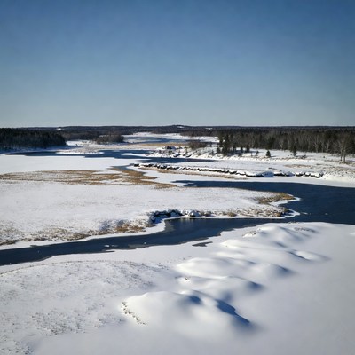 Winter River in Snowy Forest
