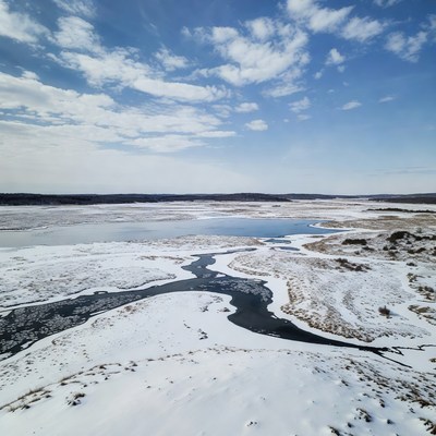Frozen Marsh Landscape with Blue Water