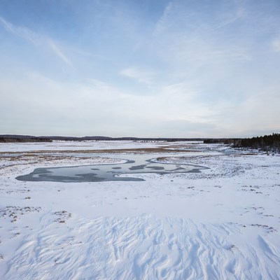 Frozen Pond in Snowy Marsh