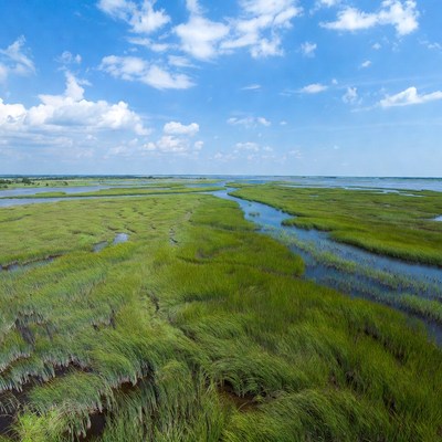 Aerial View of Marshlands