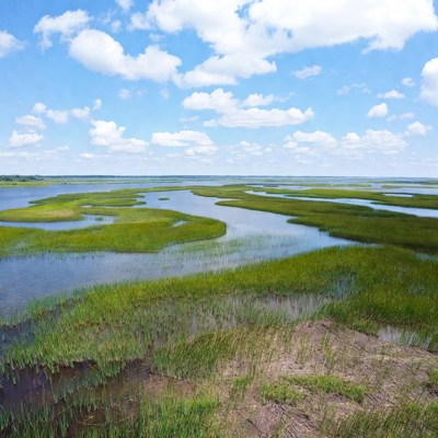 Scenic Salt Marsh Landscape