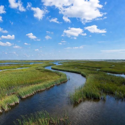 Marshland with winding waterways