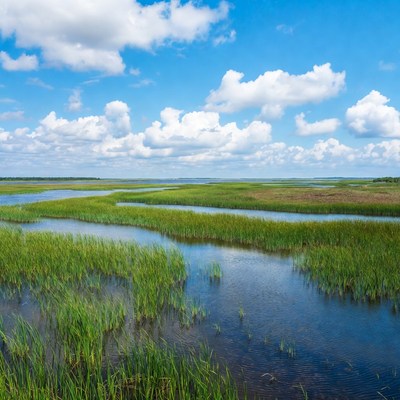 Scenic Marshland with Winding Streams