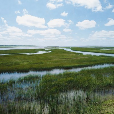 Marshland with waterways under blue sky