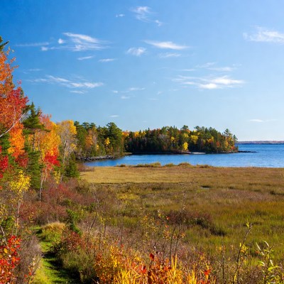 Autumn Forest Path by Lake