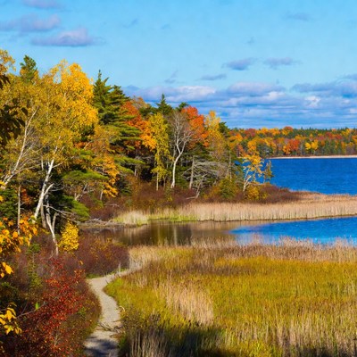 Autumn Forest Path by Lake
