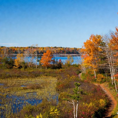 Autumn Foliage Trail by Lake
