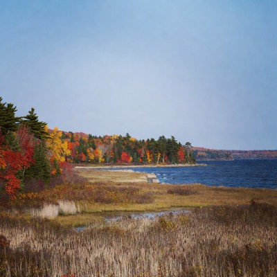 Autumn Lakeside with Colorful Trees