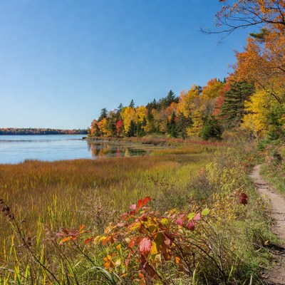 Autumn Trail by Colorful Lakeshore