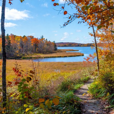 Autumn Trail to Vibrant Fall Lake
