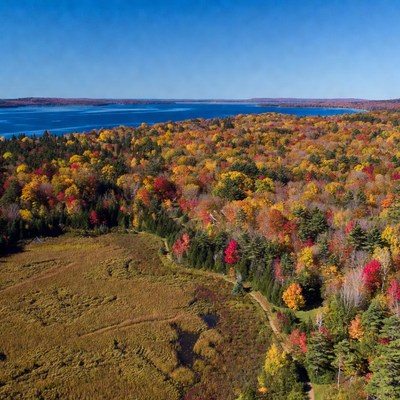 Autumn Forest and Lake Aerial View