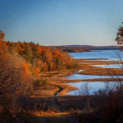 Autumn Forest Trail by Marsh Lake