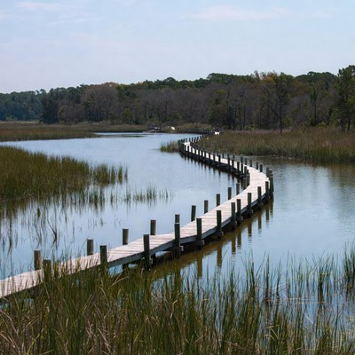 Wooden boardwalk over marsh creek