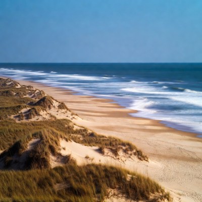 Sandy beach dunes with ocean waves