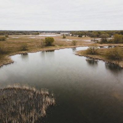 Aerial View of Marshy Wetland Landscape