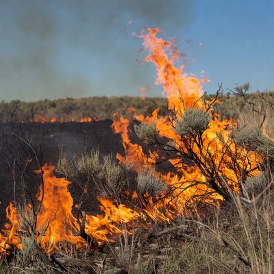 Wildfire Burning Sagebrush Field