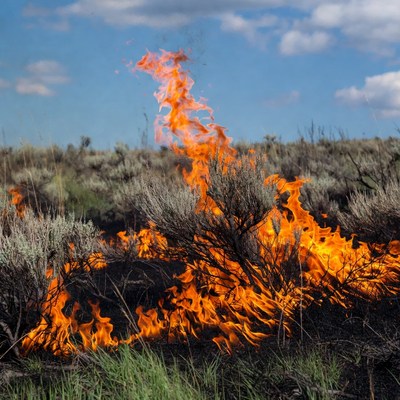 Grass Fire in Sagebrush Field