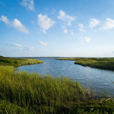 Marsh Creek with Grasses and Blue Sky