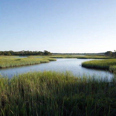 Marshland with winding waterways