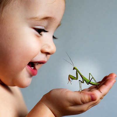 Baby holding praying mantis