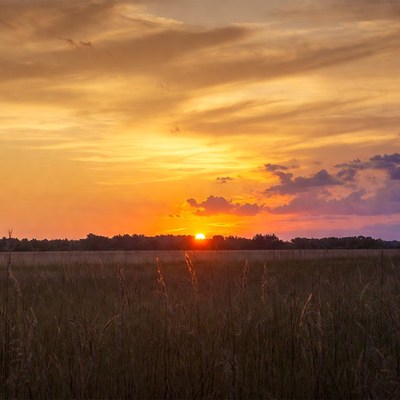 Sunset over wheat field