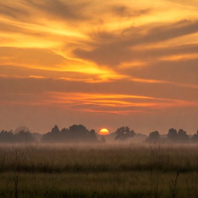 Sunset over misty grassy field