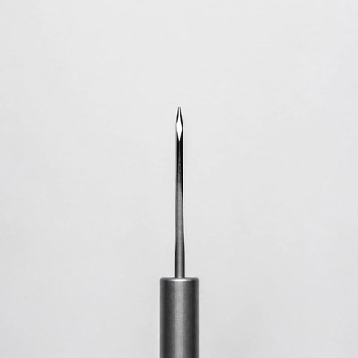 Silver Needle on White Background