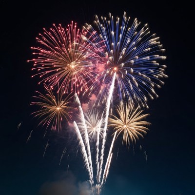 Colorful Fireworks Exploding in Night Sky