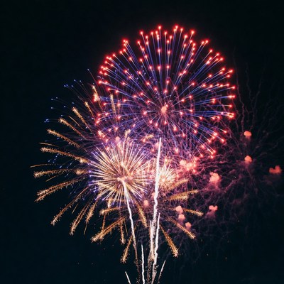 Vibrant Fireworks Bursting in Night Sky