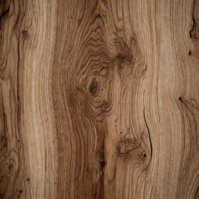 Close-up Walnut Wood Texture