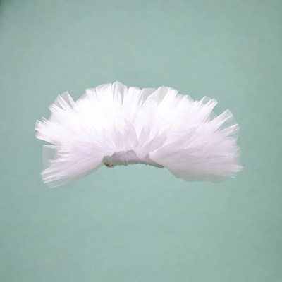 White Tulle Tutu Skirt