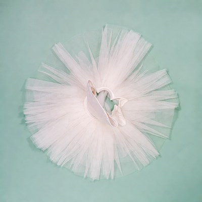 White Tutu Ballet Skirt on Green Background