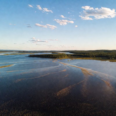 Aerial view of lake and forest