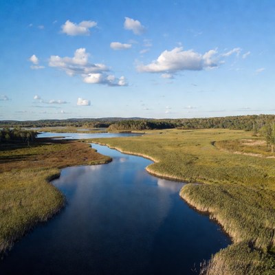 Aerial view of river in wetlands