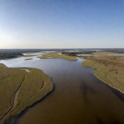 Aerial View of Marshy River Landscape