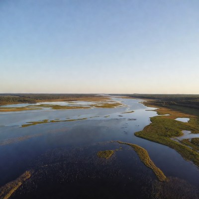 Aerial View of Winding River Marshland