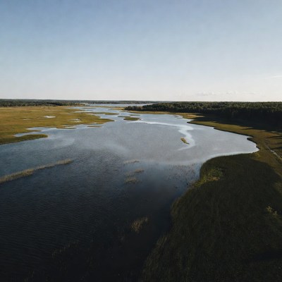 Aerial View of Marshland Wetlands