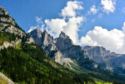 Majestic Rocky Mountains with Green Forests