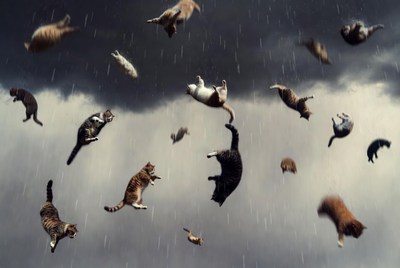 Cats Falling in Stormy Sky