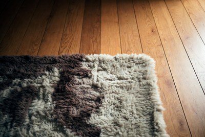 Fluffy Brown White Rug on Hardwood Floor