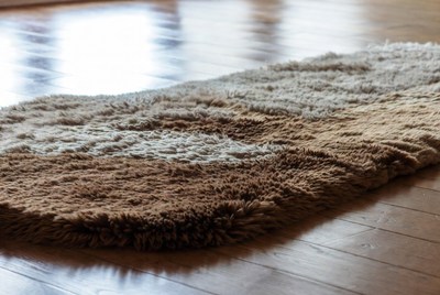 Shaggy Brown White Rug on Floor